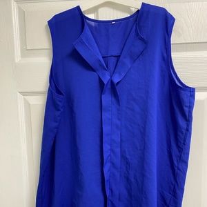 Blue Sheer Blouse